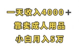 一天收入4000+，靠卖成人用品，...
