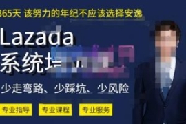 熊猫老师·2023年Lazada系统课程...