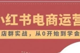 小红书店铺运营从小白到大神2.0...