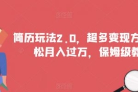 简历玩法2.0，超多变现方式，轻...