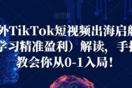 海外TikTok短视频出海启航营（学...