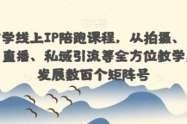 国学玄学线上IP陪跑课程，从拍摄...