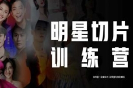 王子·明星切片线上训练营（2023...