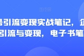 视频号引流变现实战笔记，企业抖...