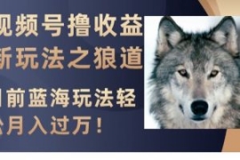 视频号撸收益新玩法之狼道，目前...