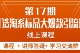 南掌柜-第17期打造淘系标品大爆...