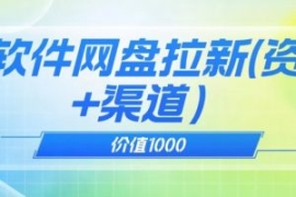 价值1000免费送ai软件实现uc网盘...