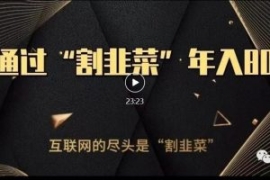 知识付费才是最好的项目，教你如...