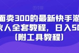 外面卖300的最新快手游戏合伙人...