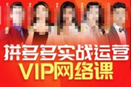 推易拼多多VIP全套直播课程，拼...
