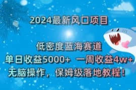 2024最新风口项目，低密度蓝海赛...
