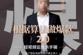 源哥《根据算法做爆款2.0》快速...