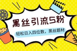 S粉变现，轻松日入四位数，黑丝...