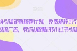 小红书精准引流矩阵陪跑计划，免...