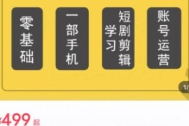 短剧另类新赛道剪辑解说课萱萱实...
