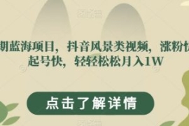 长期蓝海项目，抖音风景类视频，...