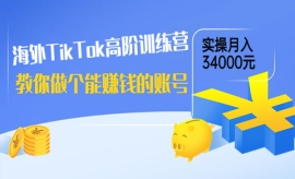 《第172期》海外TikTok高阶训练...