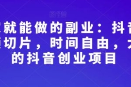 在家就能做的副业：抖音短视频切...