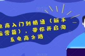 淘宝电商入门到精通（新手篇+运...