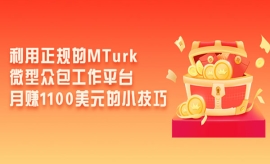 《第156期》利用正规的MTurk微型...