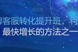 金牌客服转化提升班，利润率最快...