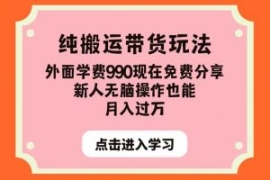 纯搬运带货玩法，外面学费990现...