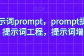 AI提示词prompt，prompt提示词，...