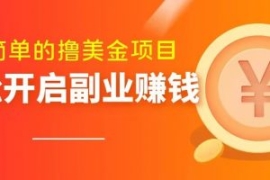 最简单无脑的撸美金项目，操作简...