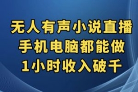 抖音无人有声小说直播，手机电脑...