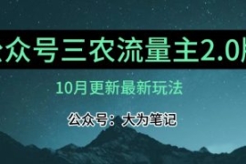 (10月)三农流量主项目2.0——精...