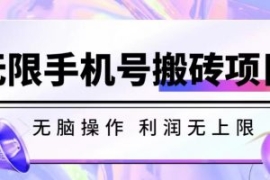 无脑搬砖项目-无限接码撸红包收...