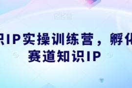 知识IP实操训练营，​孵化多赛道...