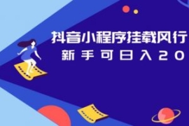 抖音小程序挂载风行视频，新手可...