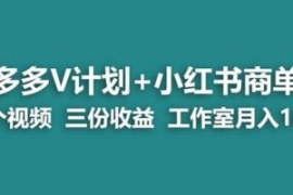 【蓝海项目】多多v计划+小红书商...