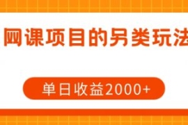 网课项目的另类玩法，单日收益20...