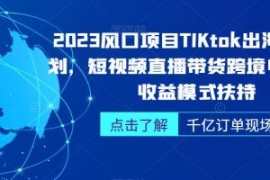 2023风口项目TikTok出海掘金计划...