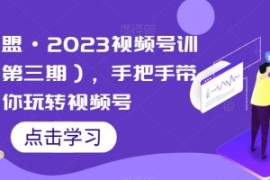 狼团联盟·2023视频号训练营（第...