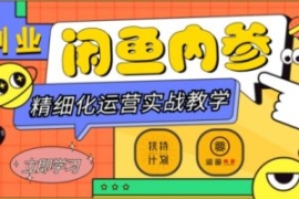 闲鱼精细化运营入门+高阶实战教...