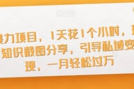 暴力项目，1天花1个小时，玩知识...