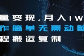 流量变现，月入1W+操作简单无需...