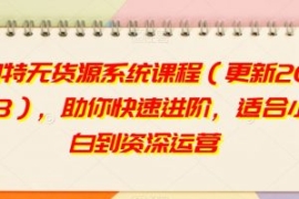 淘特无货源系统课程（更新2023）...