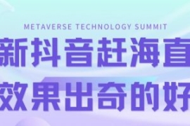 最新抖音快手赶海无人直播流量庞...