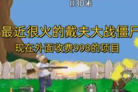 外面收费998的项目最近很火的戴...