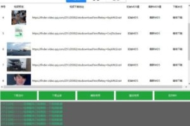 首发视频号视频加直播无水印超清...