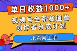 单日收益1000+，视频号全新赛道...