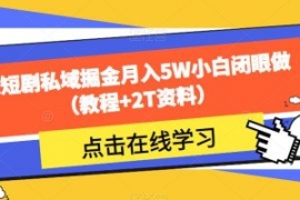 靠短剧私域掘金月入5W小白闭眼做...