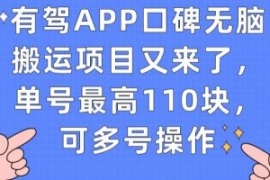 有驾APP口碑无脑搬运项目又来了...