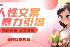 独家人性文案玩法，暴力引流多重...