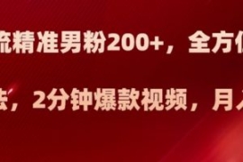 日引流精准男粉200+，全方位美女...