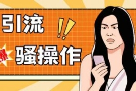 最新引流骚操作，单账号日引50-1...